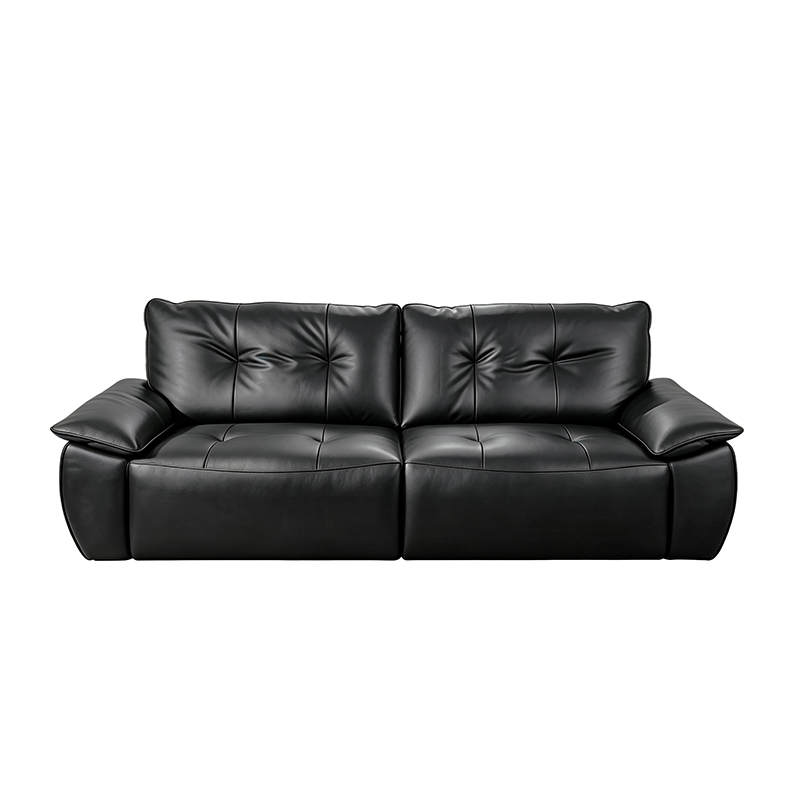 Luminé Power Sofa Bed in leather