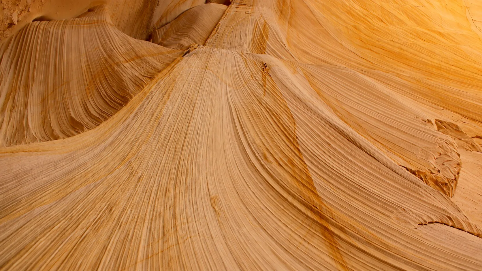 Flowing natural grain formation inspiring CHOPIN PRO